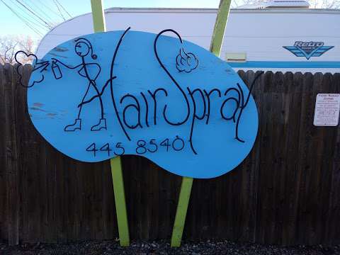 Hair Spray Salon